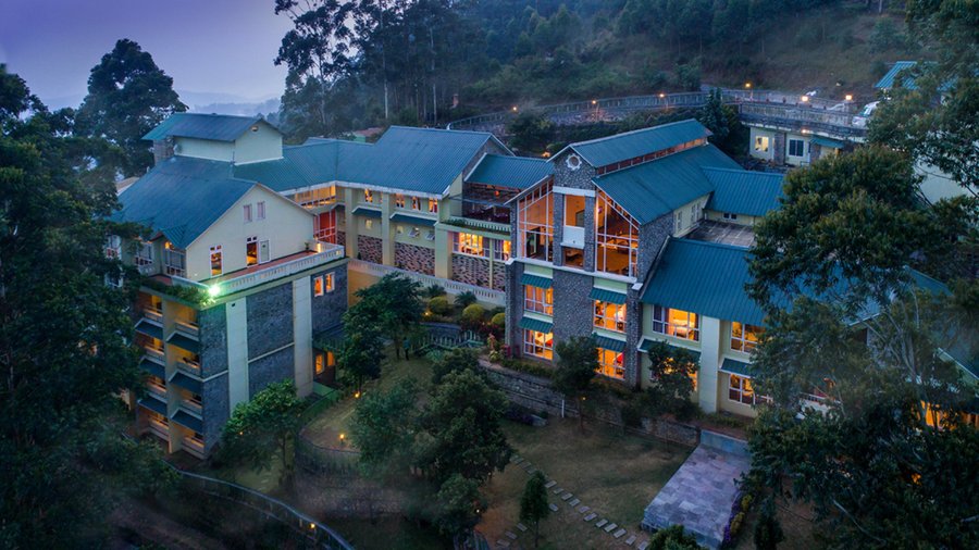 Bird View
