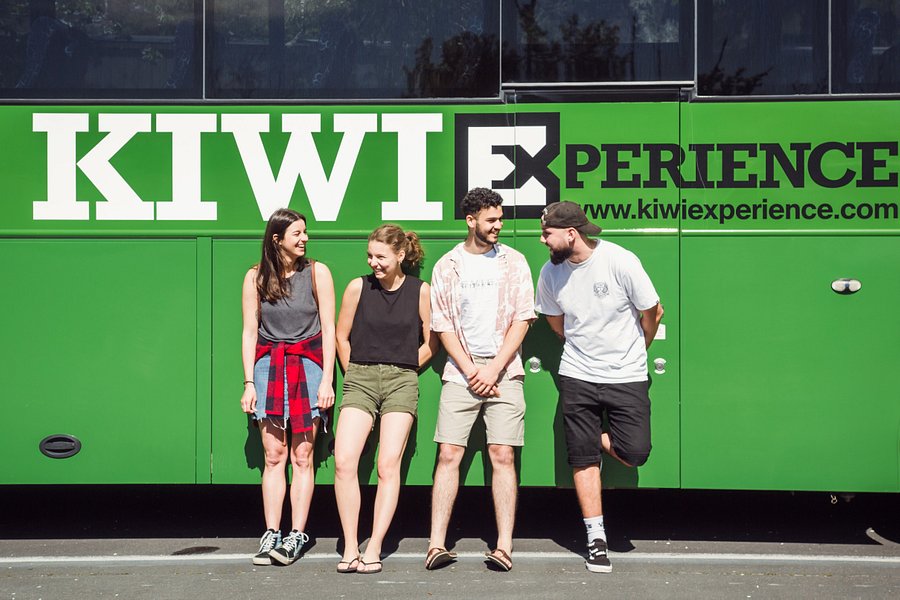 kiwi experience small group tours reviews