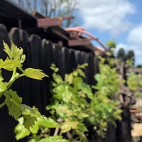 Forgotten Barrel located at the old Ferrara Winery, a California Historic Point of Interest!