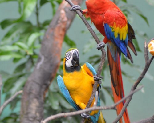 National zoological gardens of sri lanka