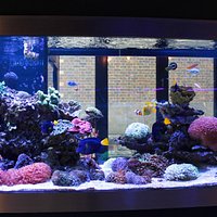 Aquarium