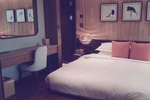 Room & Suite