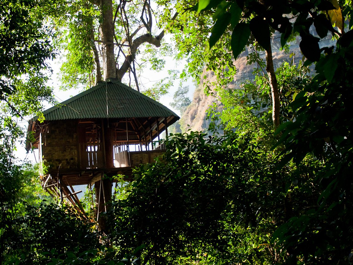 Green Discovery Laos, Паксе: лучшие советы перед посещением - Tripadvisor