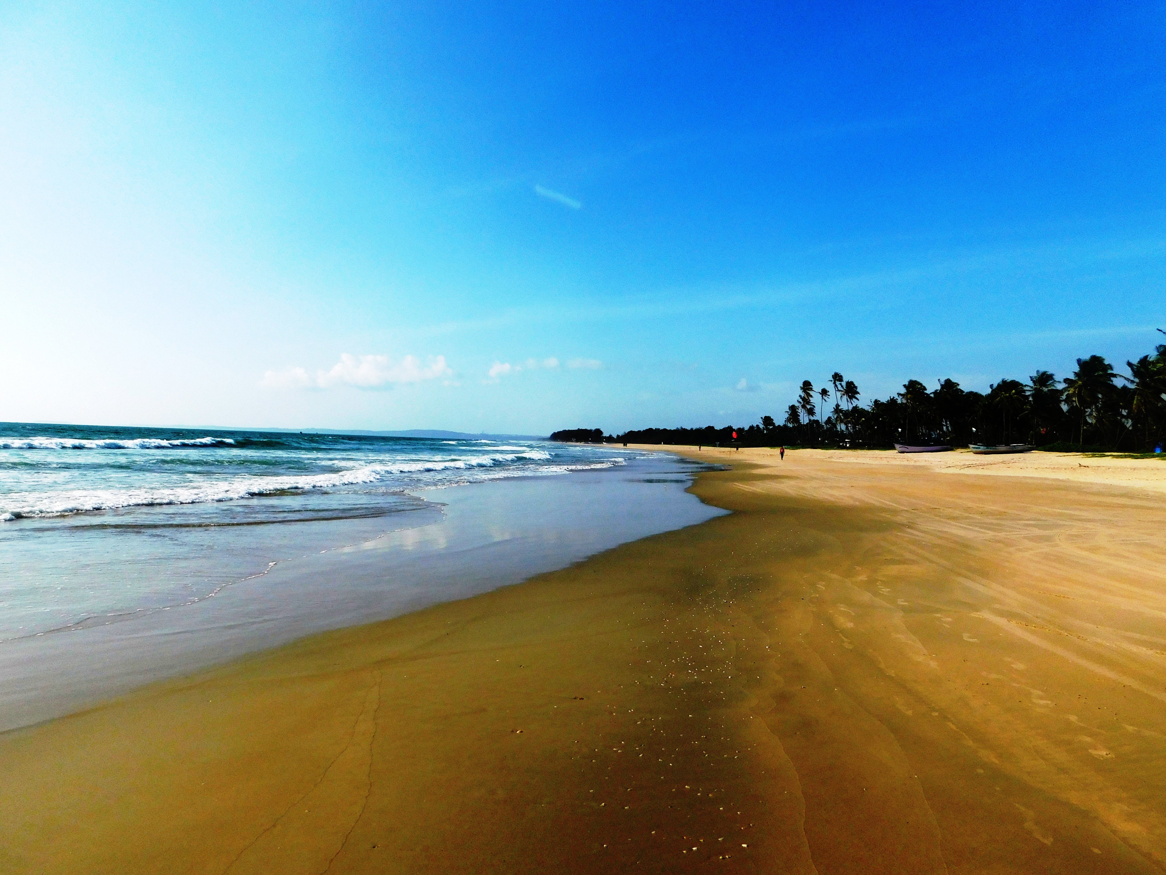 83+ most beautiful images in Benaulim Beach in India