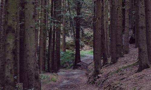 Bring a good map. Bring a good pair of shoes. And definitely: Bring a good map.