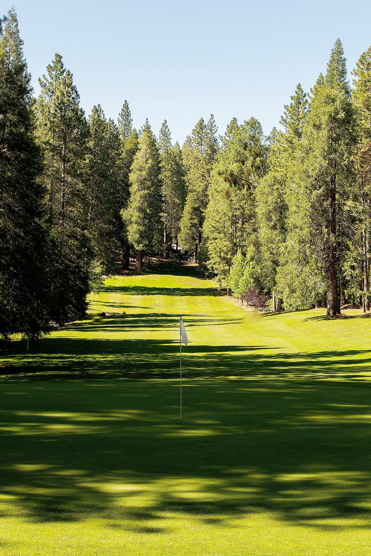 Forest Meadows Golf Course (Murphys) All You Need to Know BEFORE You Go