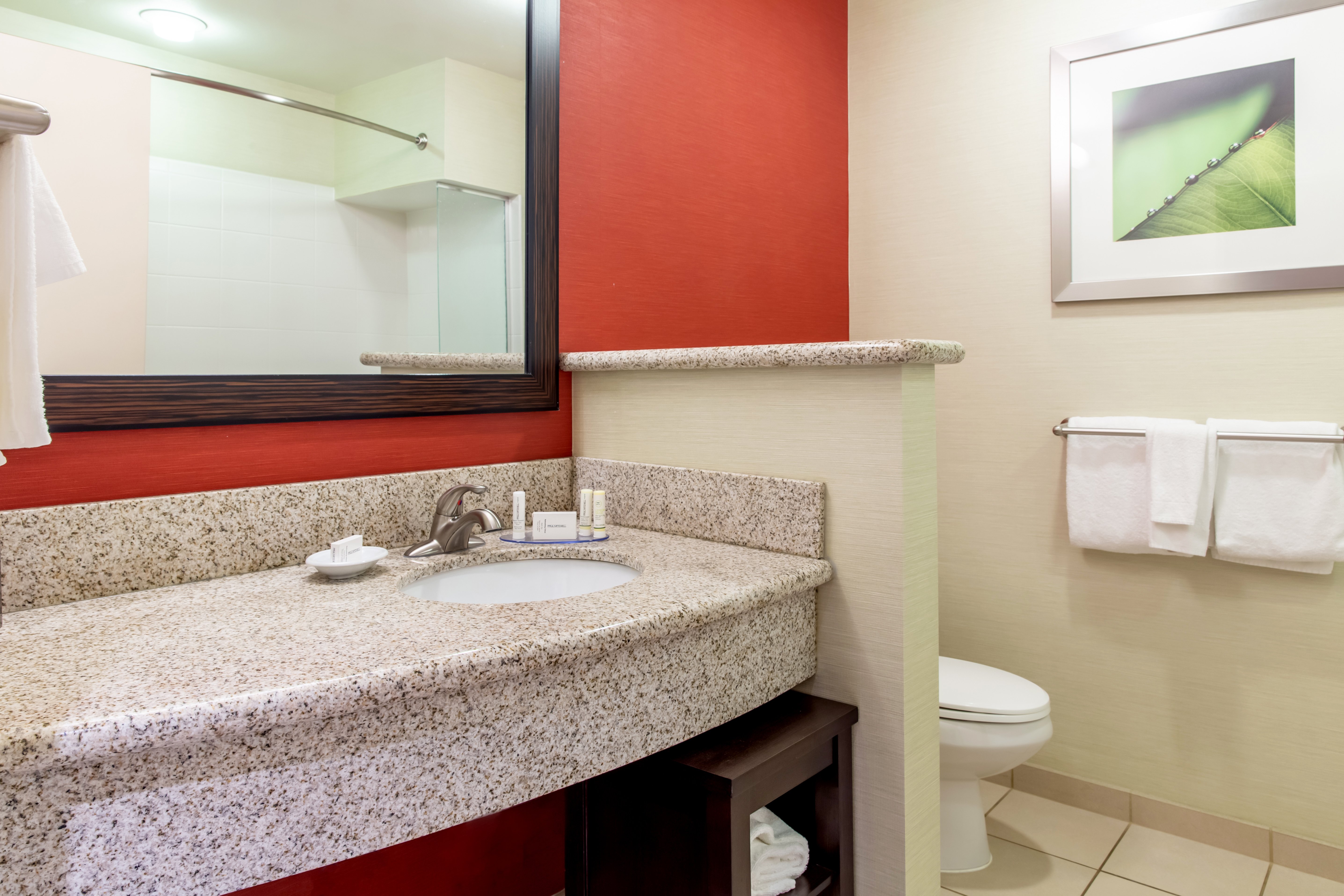 Courtyard Lexington Keeneland Airport Rooms Pictures Reviews