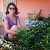 Marilia T