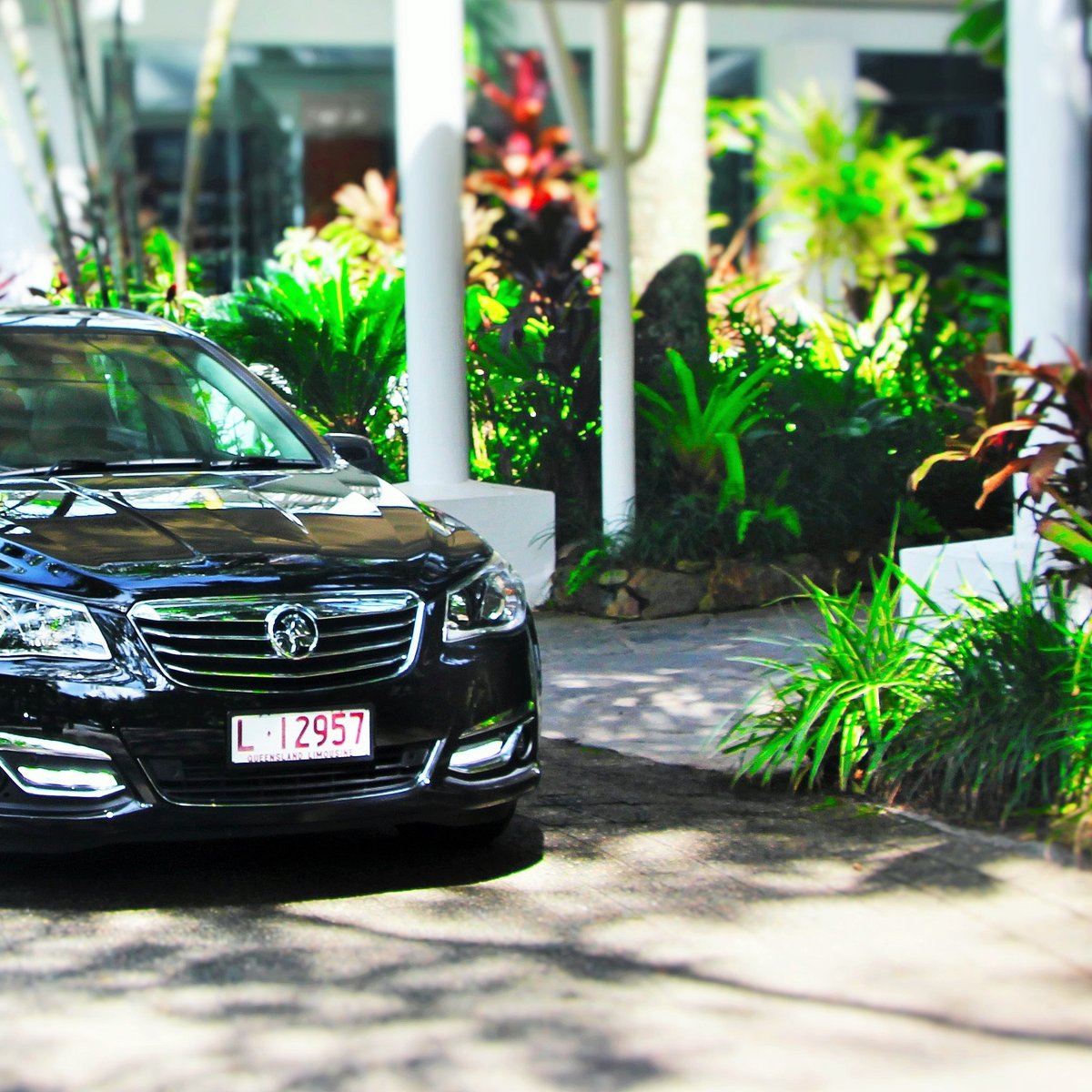 GREEN ANT LIMOUSINES (Cairns) Qué SABER antes de ir (2025)