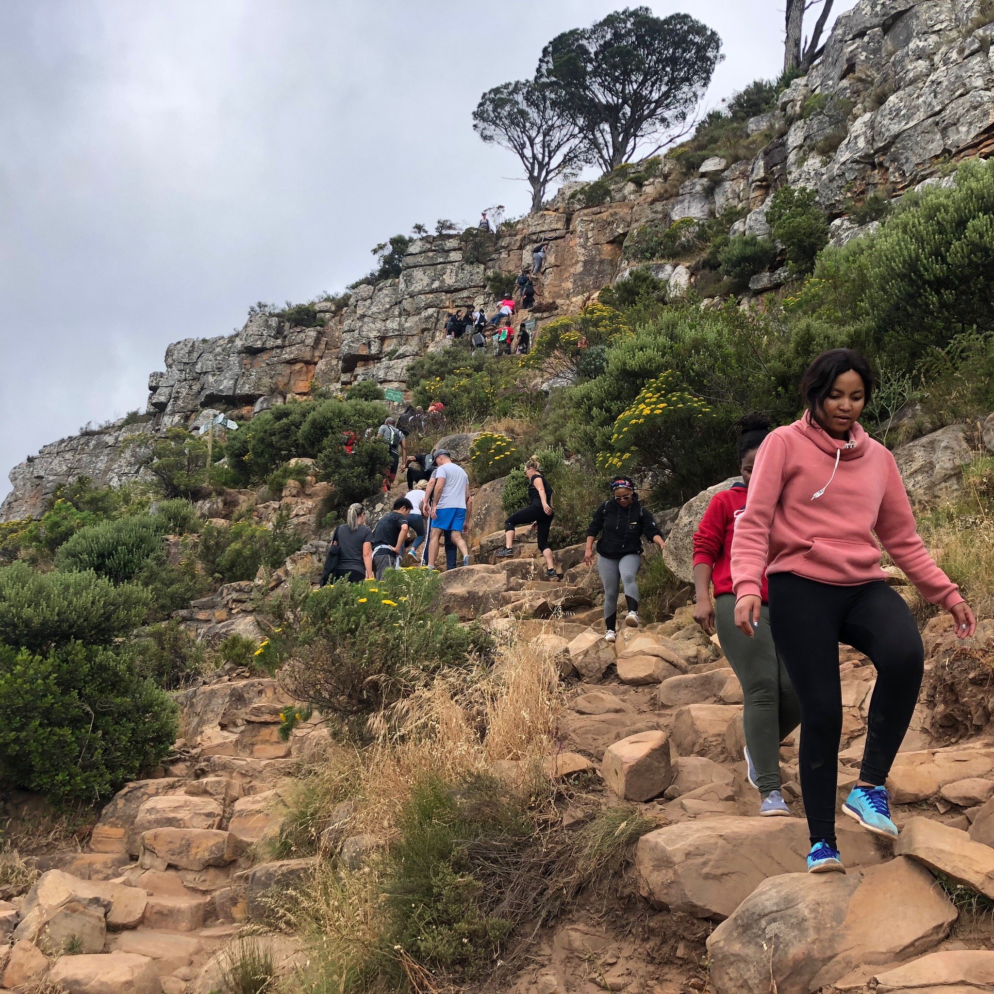 HIKE LION S HEAD CAPE TOWN Cape Town Central All You Need to