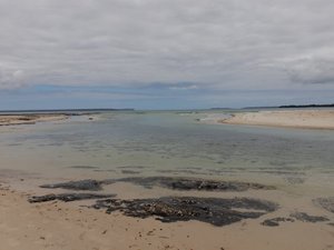 Pool & Beach