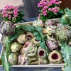 healthyeater7