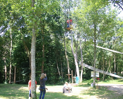 La Forêt des Elfes® à CERENCES : Normandie Tourisme