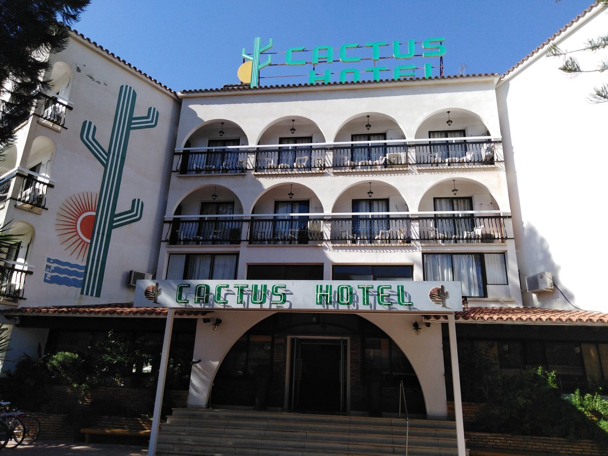 Cactus Hotel Restaurant: Pictures & Reviews - Tripadvisor