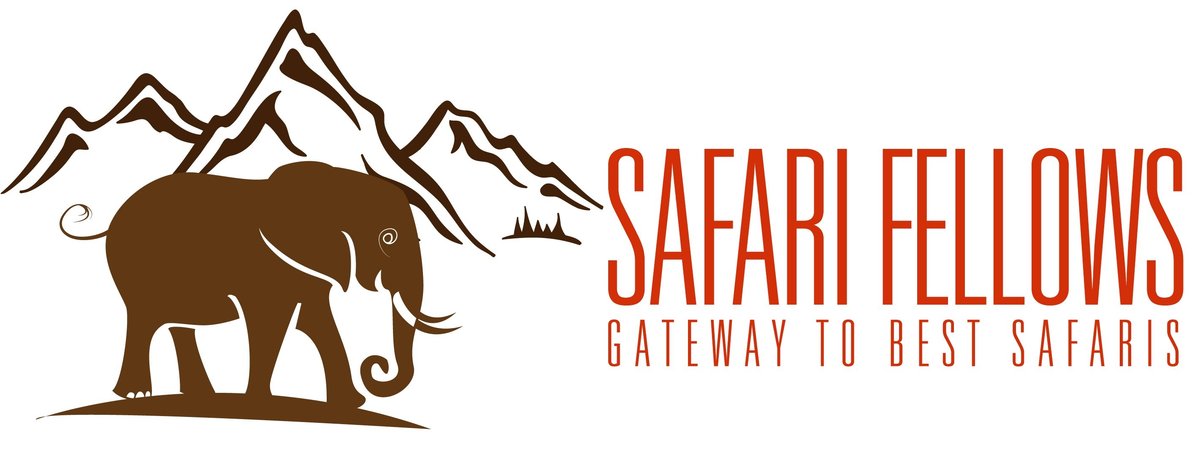 Safari Fellows - All You Need to Know BEFORE You Go (2024)