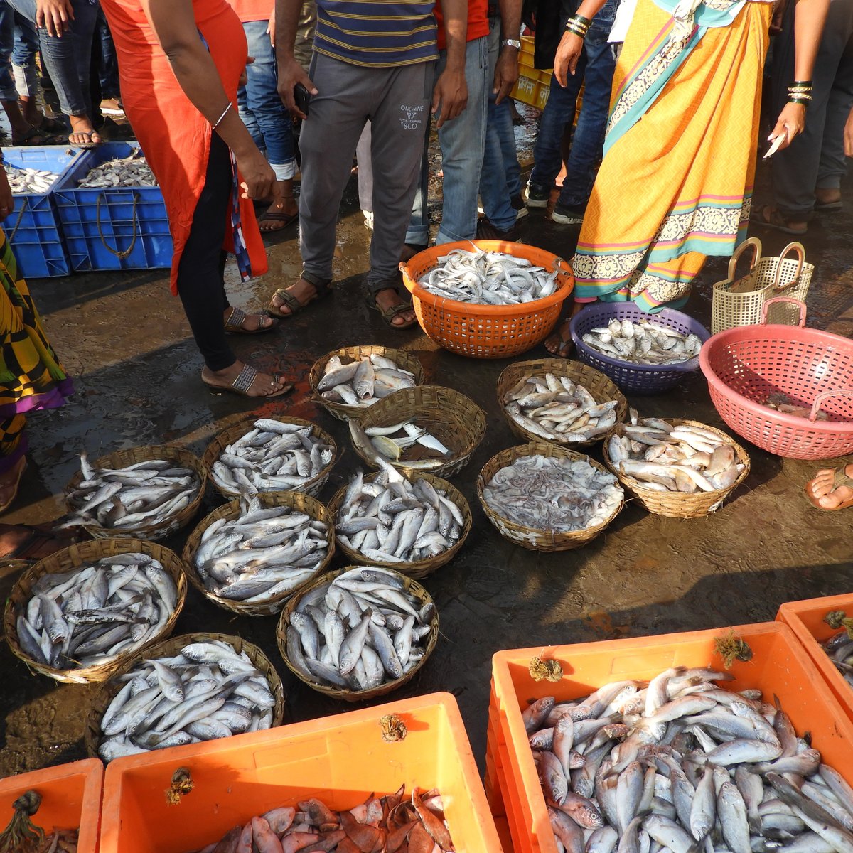 Fresh Fish Shop Near Me