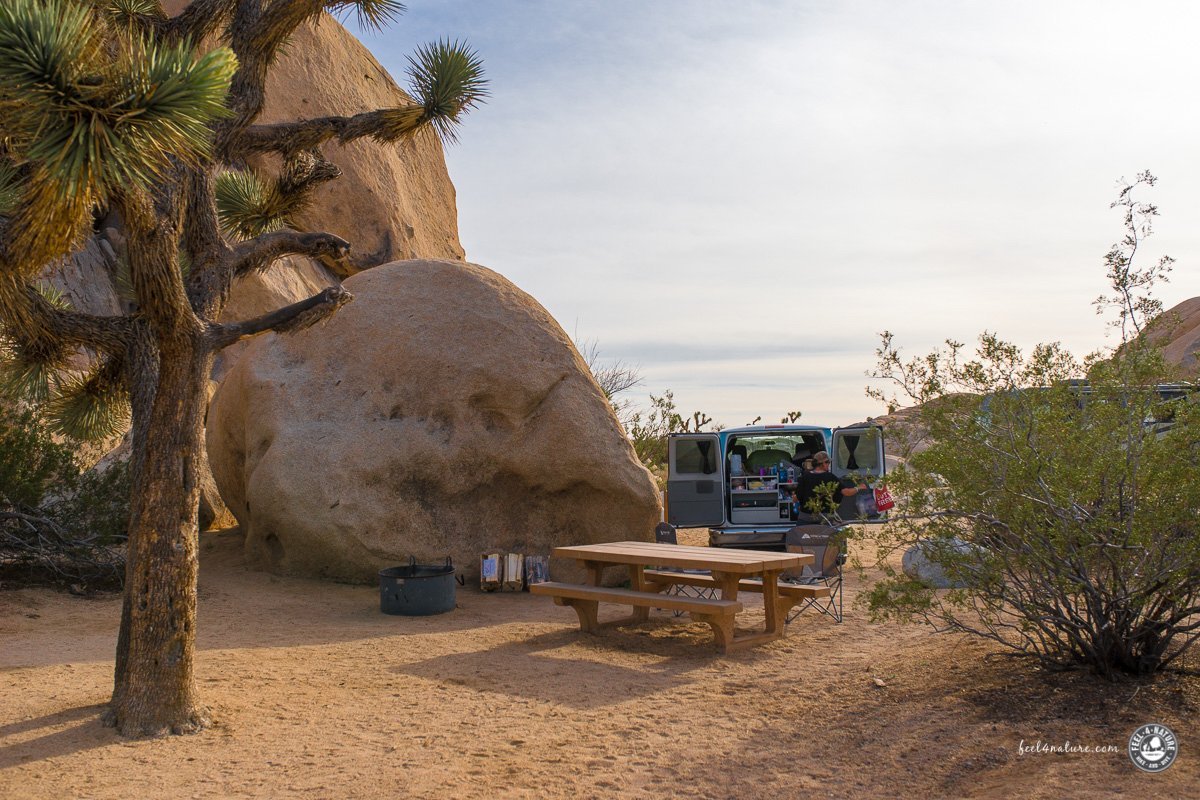 White Tank Campground by null