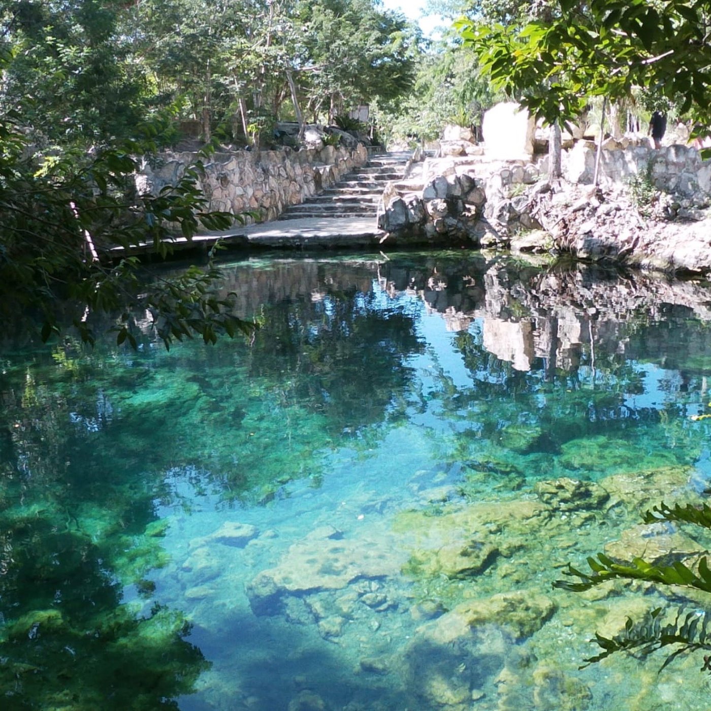 CENOTE CASA TORTUGA TULUM (Tulum, Mexico) - foto's, reviews en ...