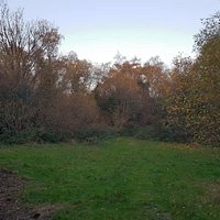 Gunnersbury Triangle
