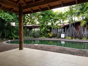 Pool & Beach