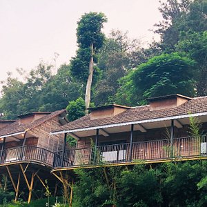 Exterior view of premium cottages
