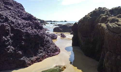 South Goa District