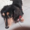 婕妤 廖