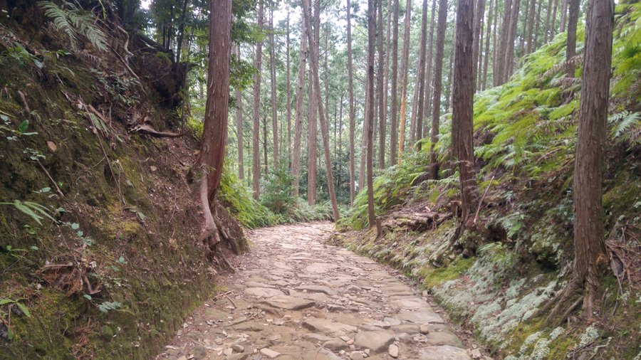 Weg des Kumano Kodos
