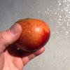 It’s just not cricket
