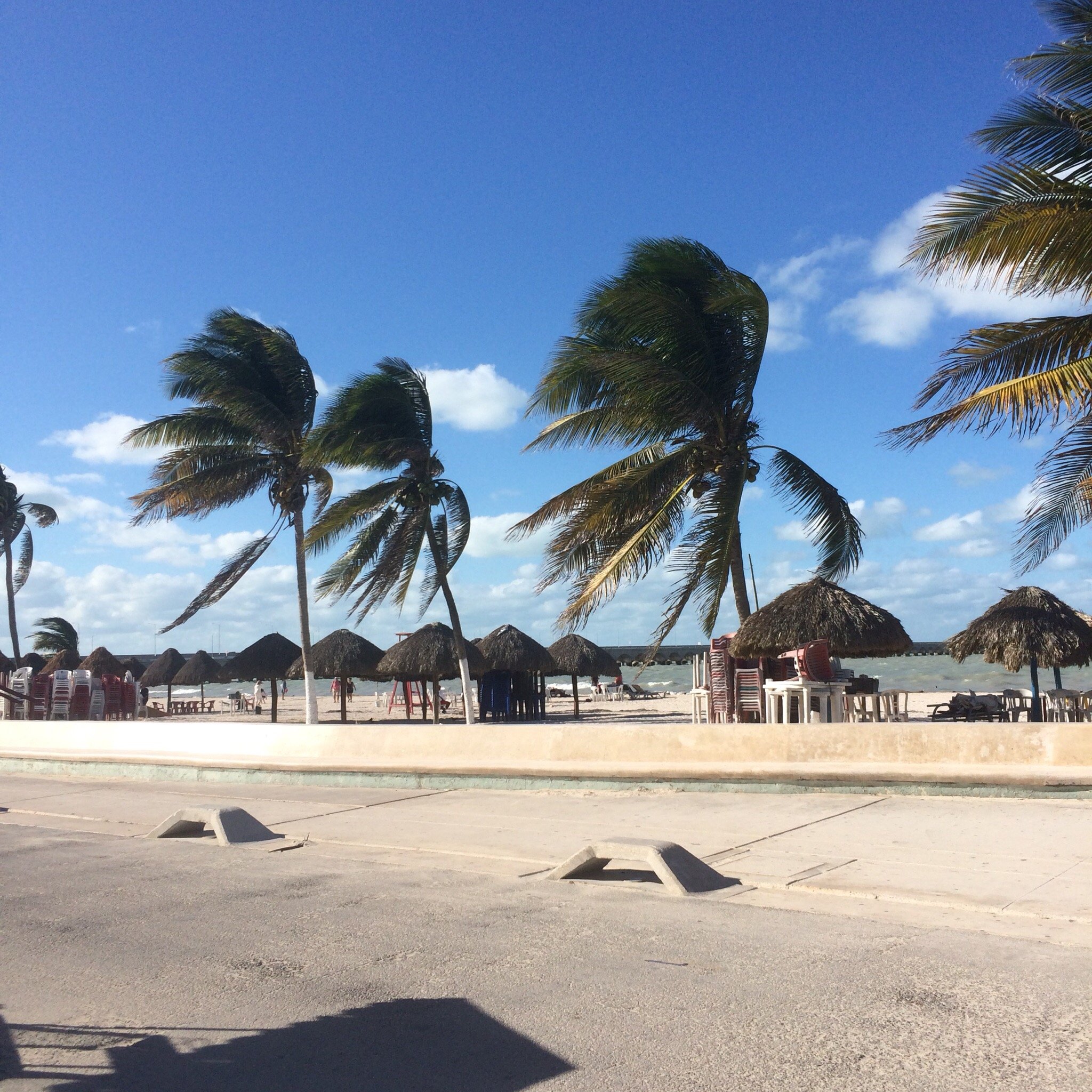 Playa Progreso All You Need to Know BEFORE You Go 2024