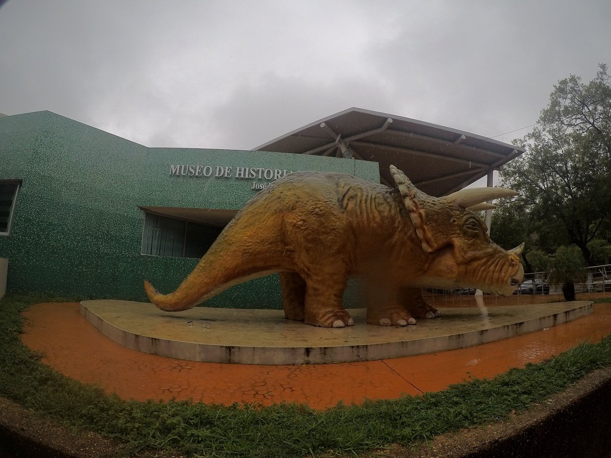 MUSEO DE HISTORIA NATURAL DEL ESTADO DE TABASCO TABASCO MEXICO