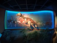 Museo de Historia Natural (Villahermosa) - 2023 Lo que se debe saber antes  de viajar - Tripadvisor