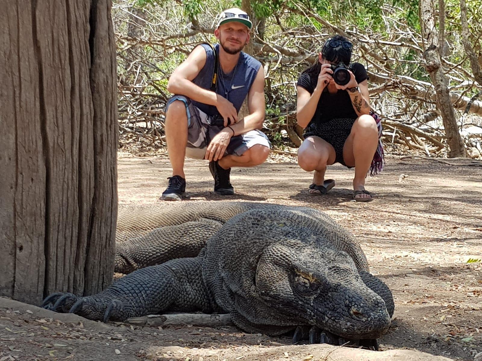 king komodo tour