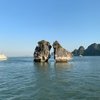 Danang Green, JSC