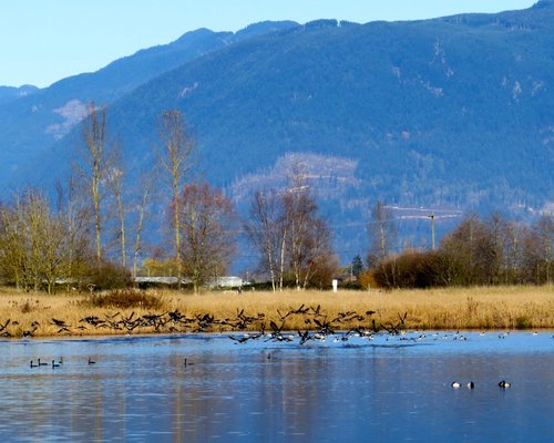 THE 15 BEST Things to Do in Abbotsford - UPDATED 2022 - Must See ...