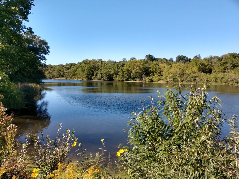 Escape To Nature’s Playground: Exploring Morrison-Rockwood State Park