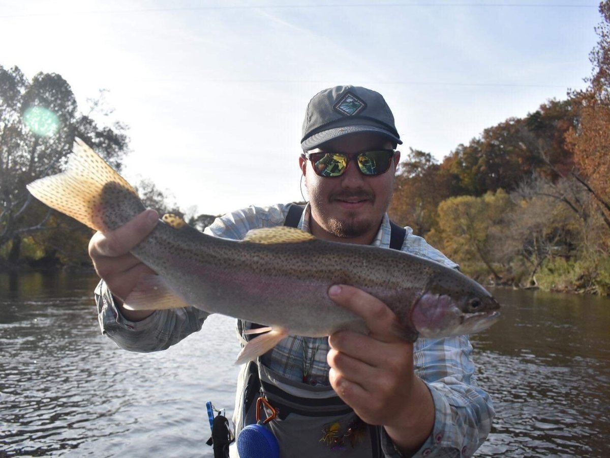 FLY FISHING THE SMOKIES (Bryson City) 2022 What to Know BEFORE You Go