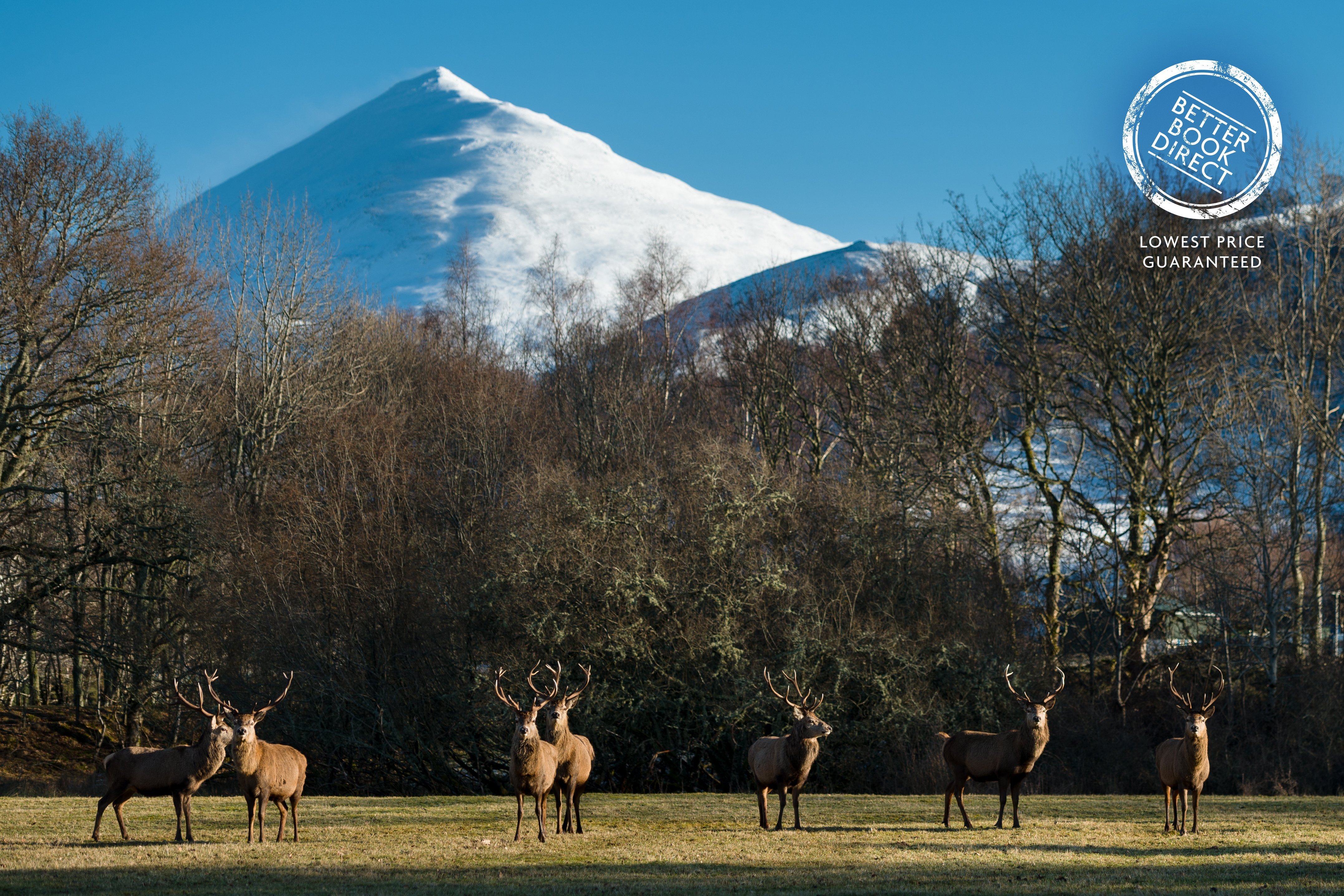 DUNALASTAIR HOTEL SUITES (KINLOCH RANNOCH, ESCÓCIA): 1.023 Fotos ...