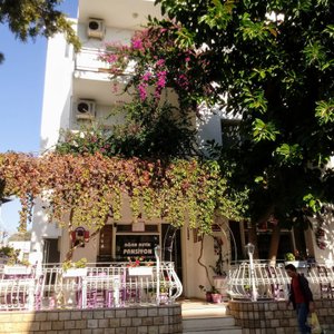 Nice little Homestay