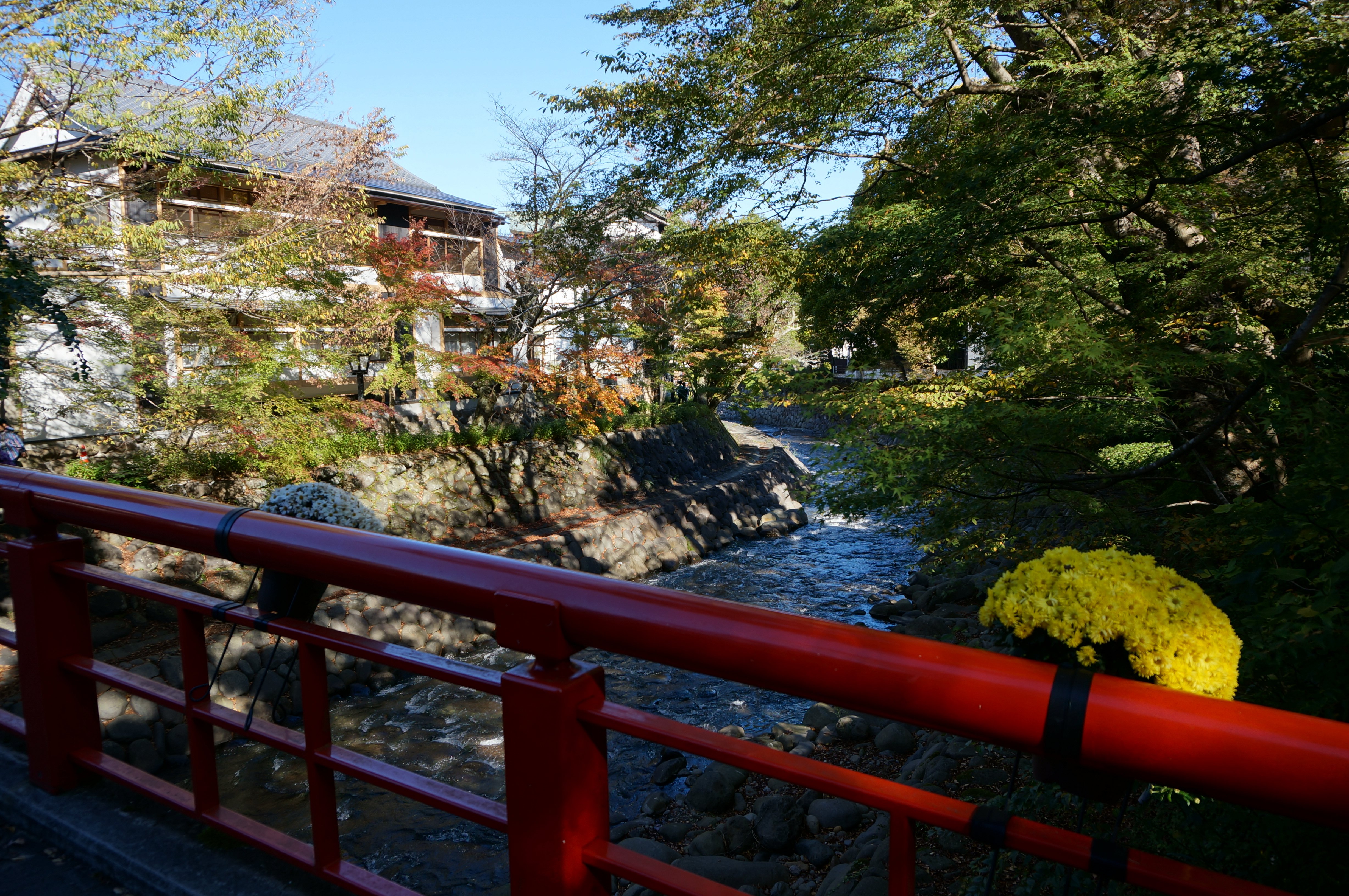 Katsura Bridge (2025) - All You MUST Know Before You Go (w
