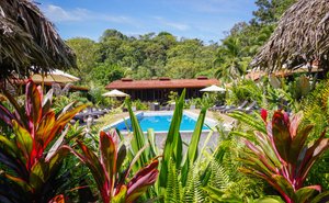 Island Plantation in Isla Colon, image may contain: Hotel, Resort, Vegetation, Villa