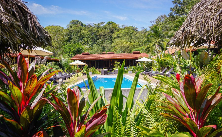 Overview of Pool area