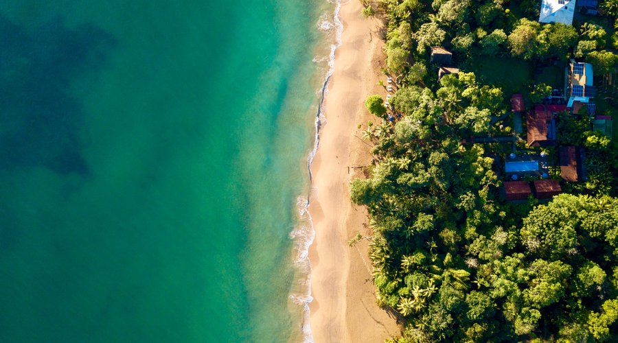 Bluff Beach and Island Plantation Resort 