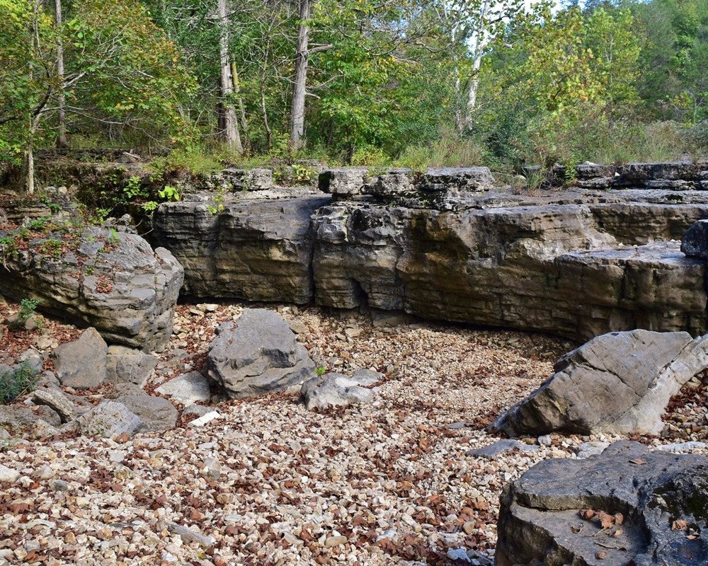 THE BEST Things to Do in Forsyth 2024 (with Photos) Tripadvisor