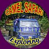 Camel Safari Exploring