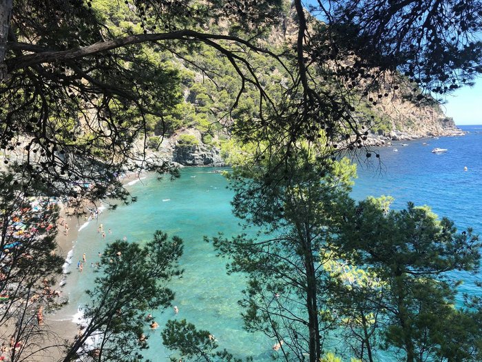 Imagen 5 de Playa Fonda, Begur (Platja Fonda, Begur)