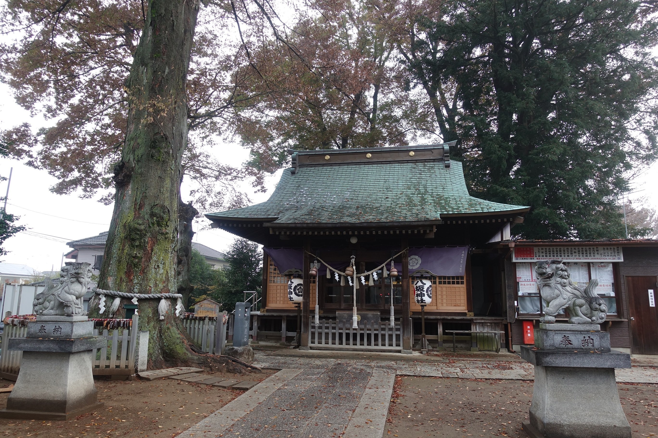 YASAKA SHRINE (2024) All You Need To Know BEFORE You Go (with Photos)