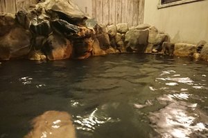 旅行者の写真