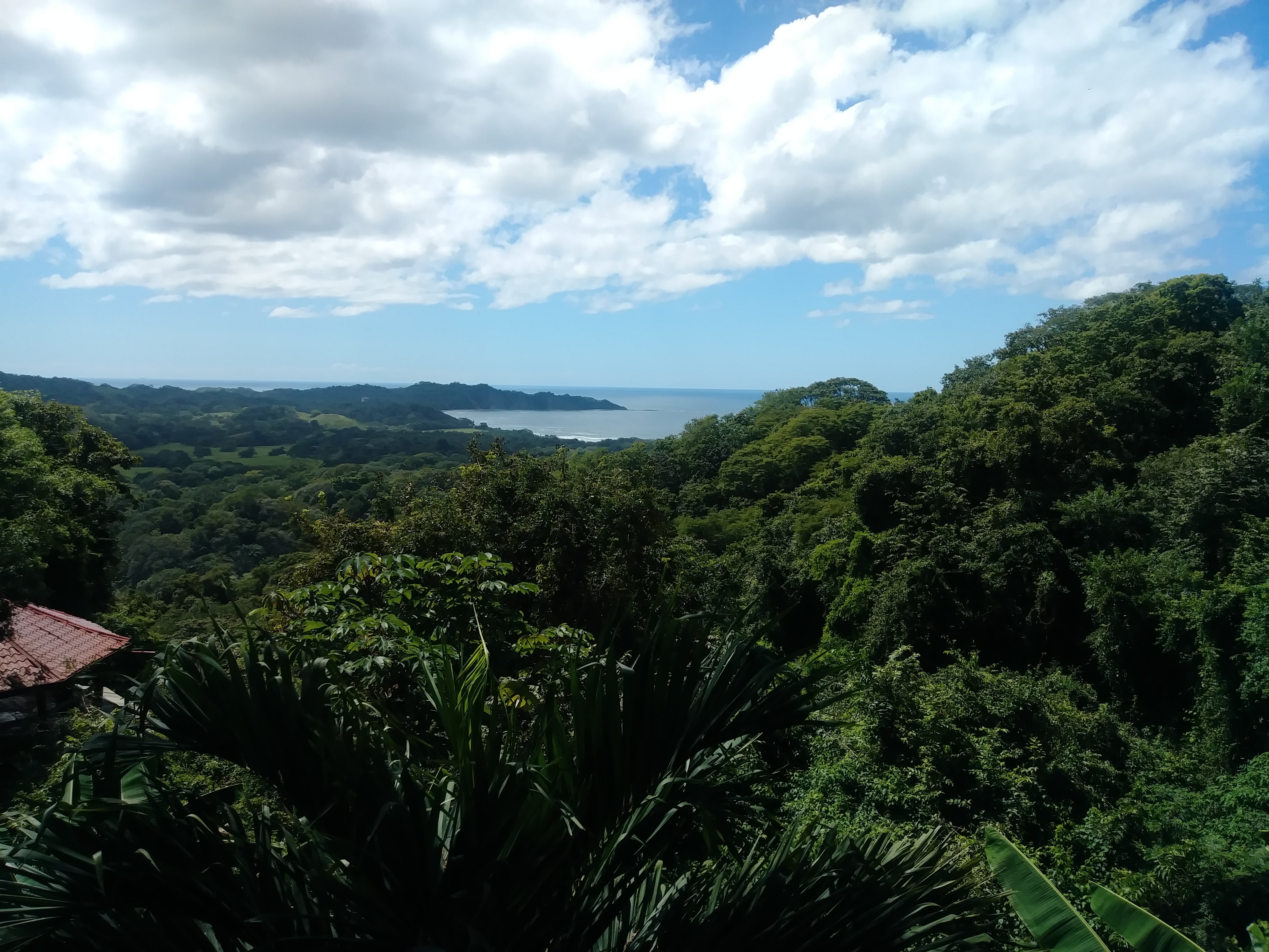 Tierra Magnifica Boutique Hotel Costa Rica Nosara UPDATED 2024