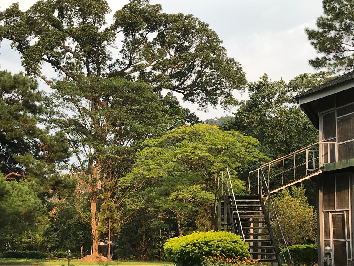 Namdapha National Park - All You Need to Know BEFORE You Go